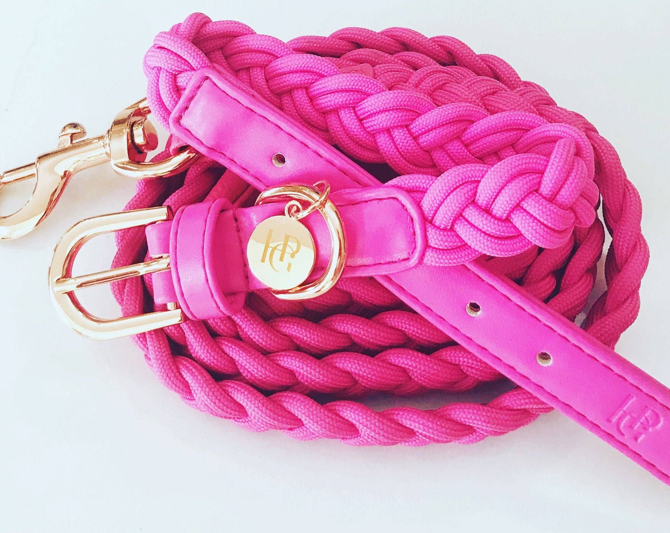 The Scarlet Dog Harness