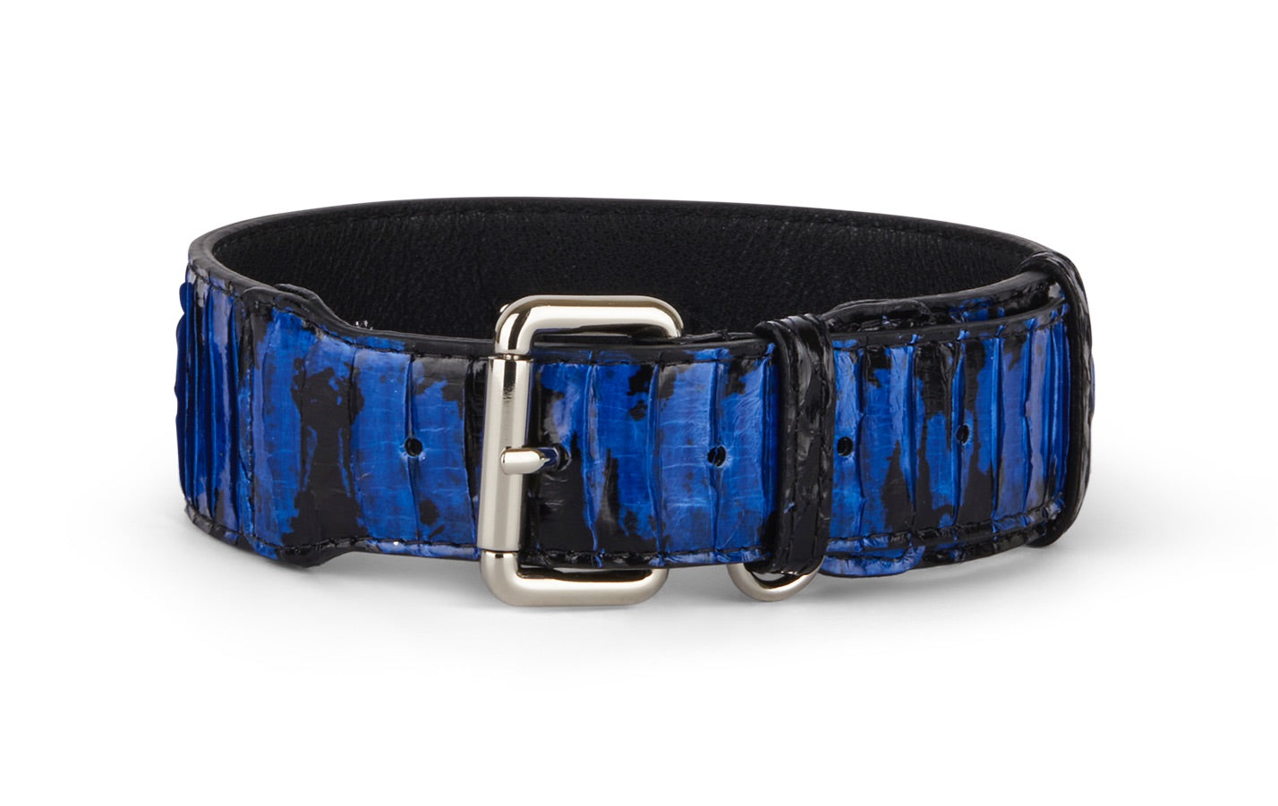 Allysa Payne Black and Royal Blue Snake 3-Inch Wide Style Dog Collar