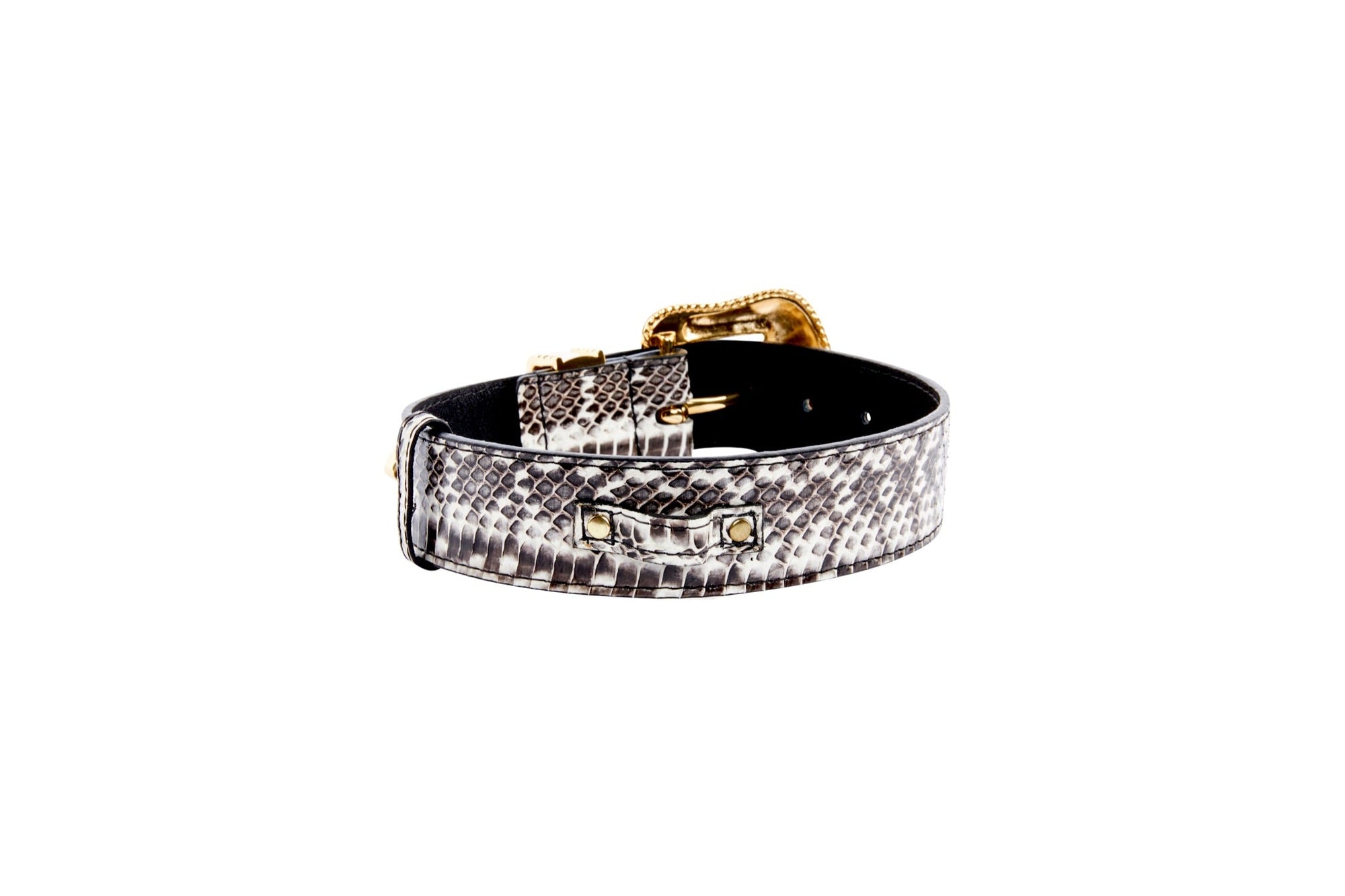 Allysa Payne Black & White Viper Snake Dog Collar With Gold Swarovski Crystal Hardware