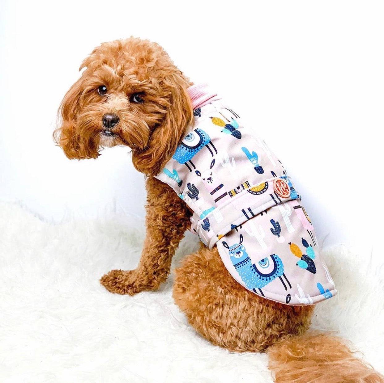 (NEW)The Alpaca Wrap Raincoat