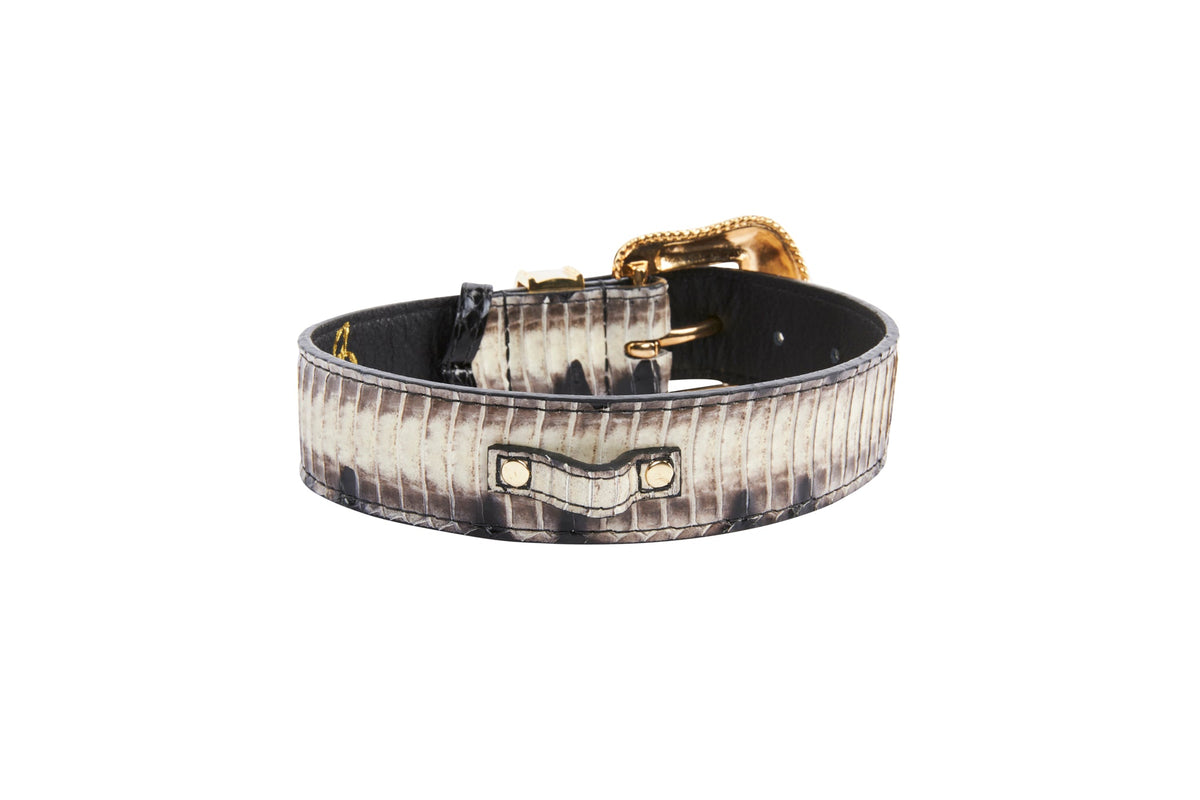 Allysa Payne Off White/Black Snake With Gold Swarovski Crystal Hardware Dog Collar & Leash Set