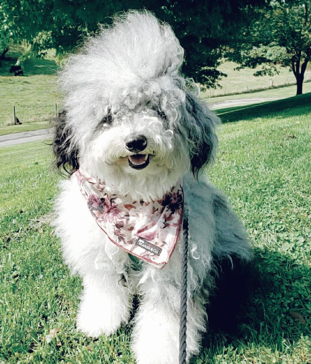 The Maggie Cotton Bandana