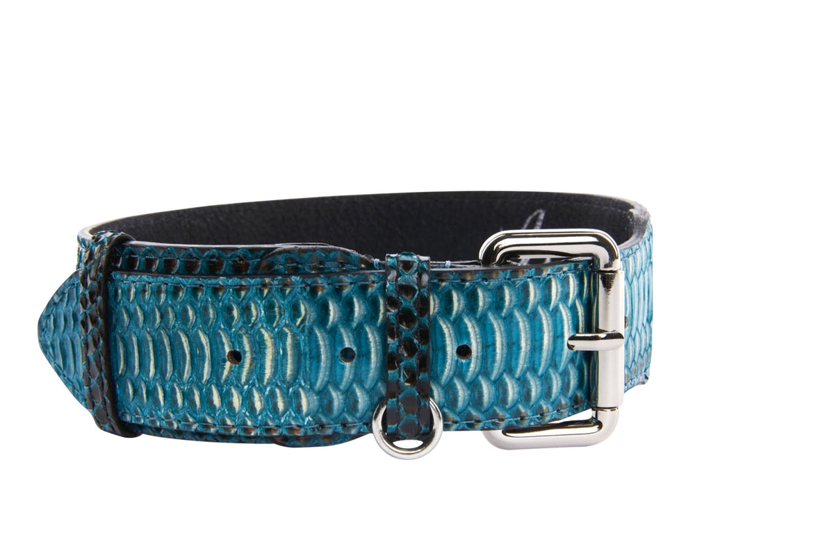 Allysa Payne Turquoise, Black Snake Classic Dog Collar With Silver & Gold Classic Hardware Set Of 2