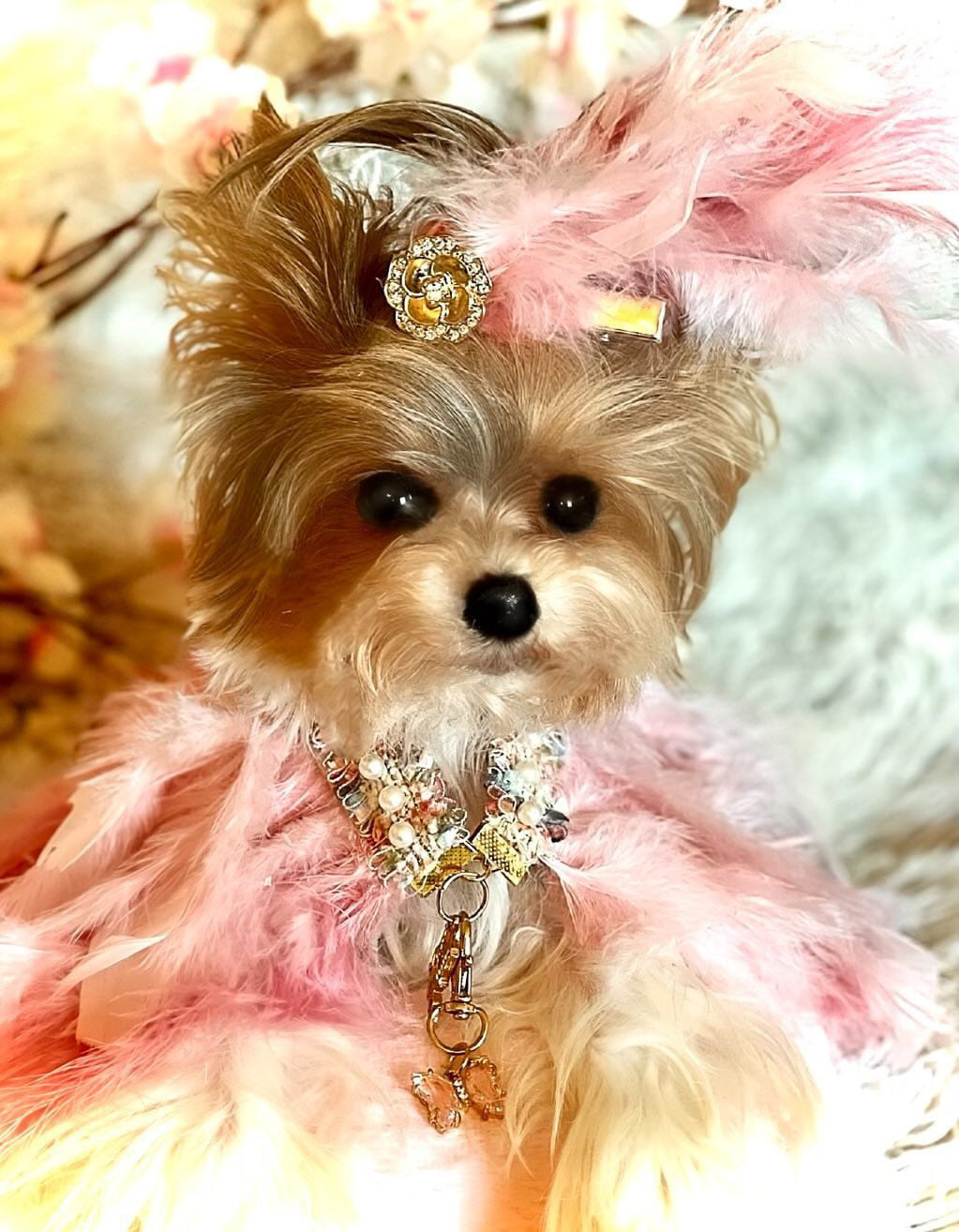 Haute: Whimsical*