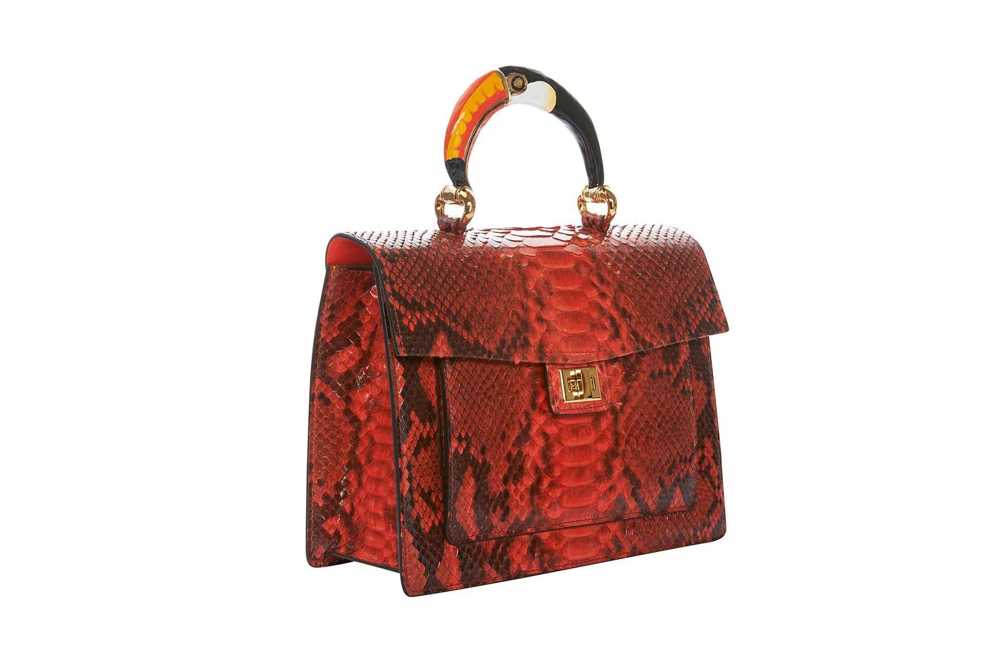 Allysa Payne The Toucan Handbag