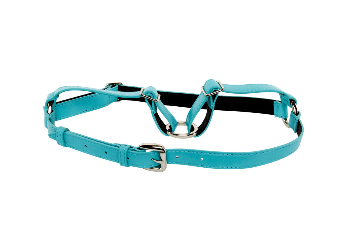 Allysa Payne Turquoise Italian Leather Dog Harness