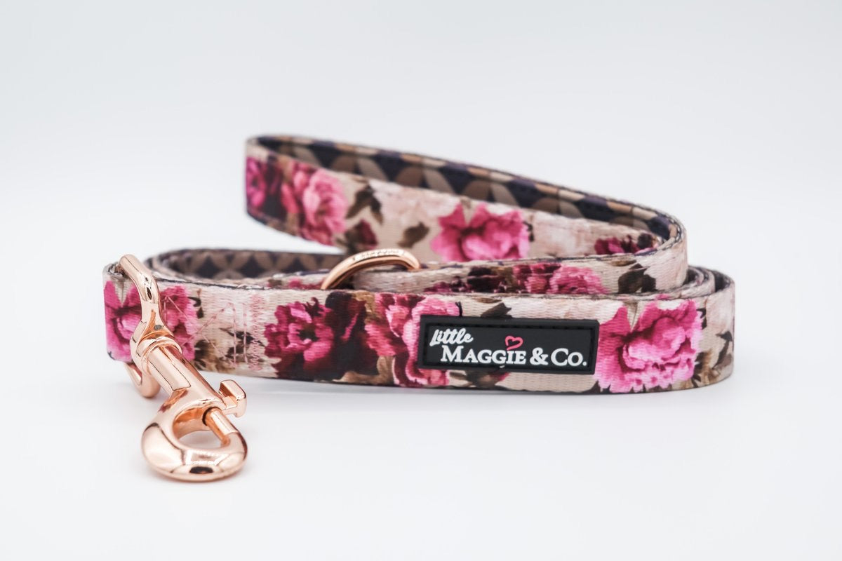Ultimate Bundle: The Maggie