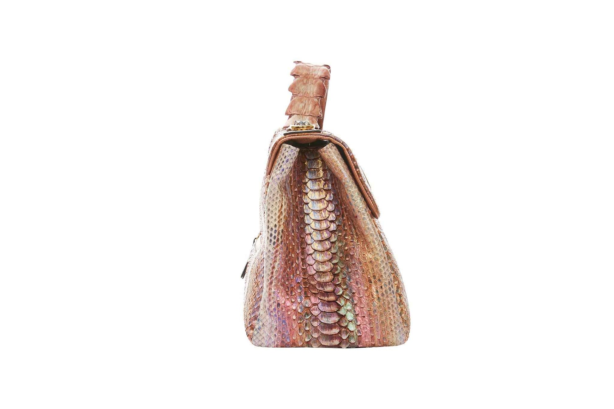 Allysa Payne Iridescent Python & Business/Travel Bag