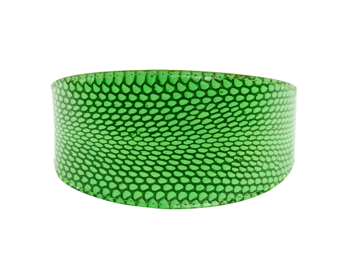 Allysa Payne Dark Neon Green Snake 3-Inch Wide Style Dog Collar