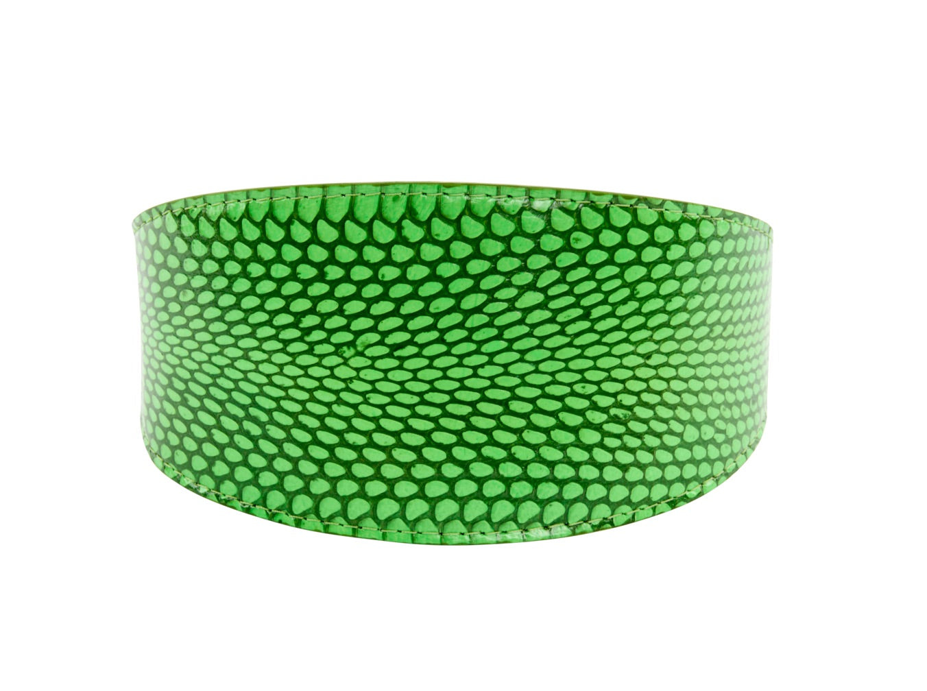 Dark Neon Green Snake 3" Wide Style Collar