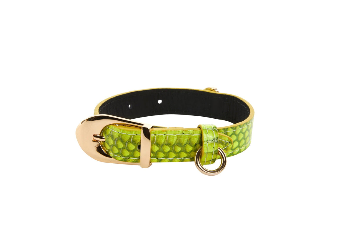 Allysa Payne XS Light Neon Green Snake Dog Collar With Gold Vintage Inspired Italian Hardware