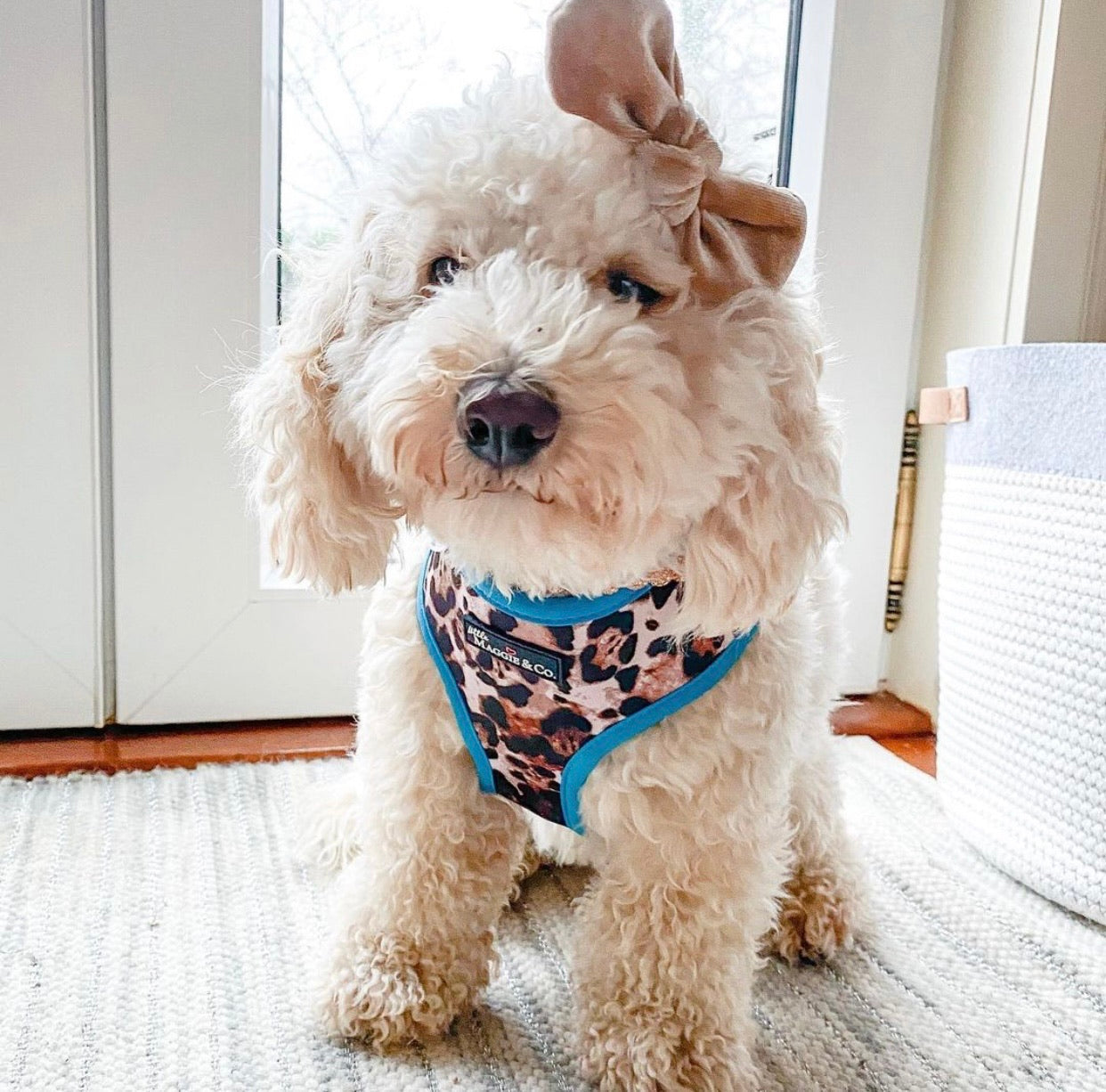 Velvet Bow: Crème Brûlée