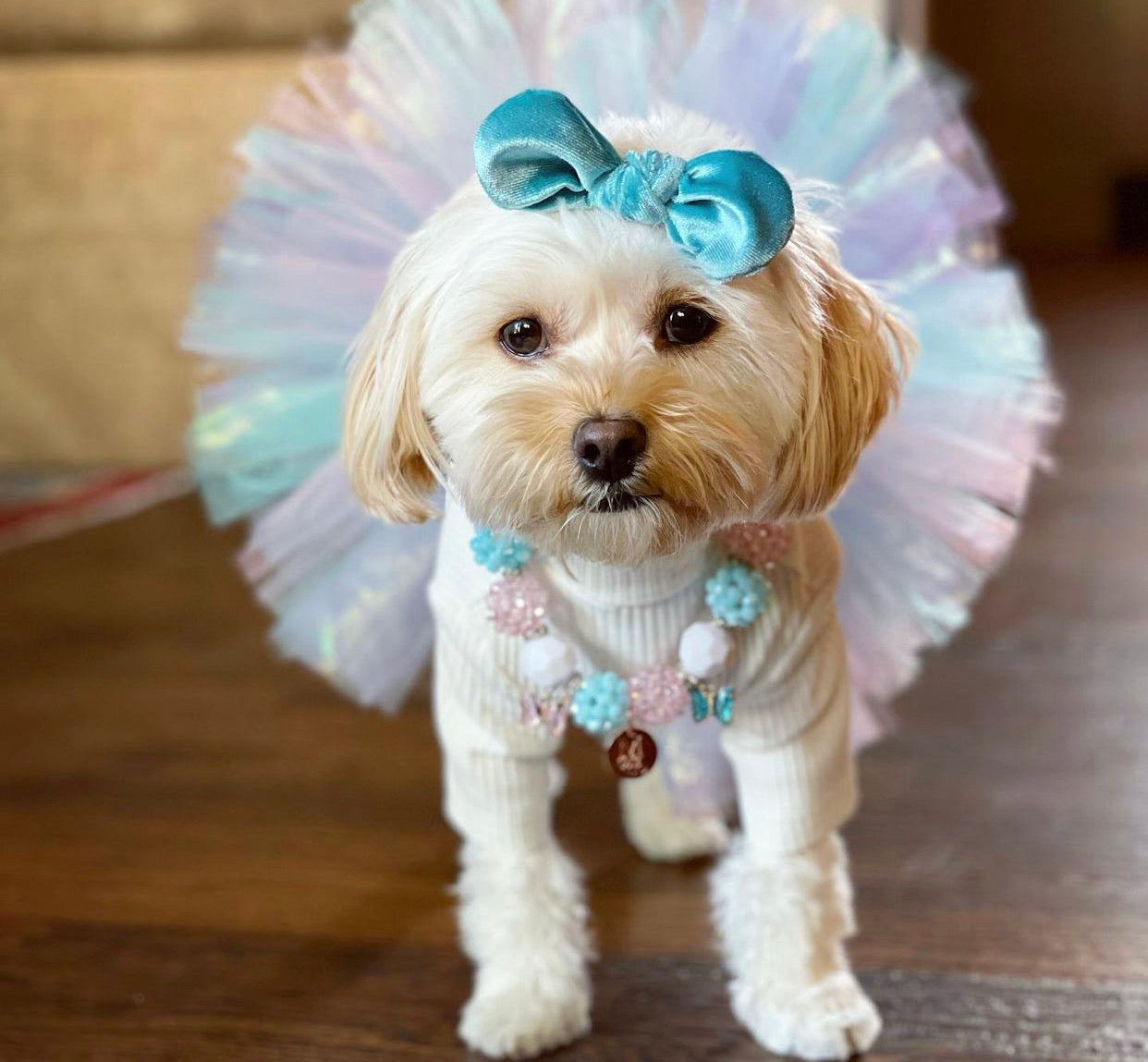 Necklace: Kotton Kandy