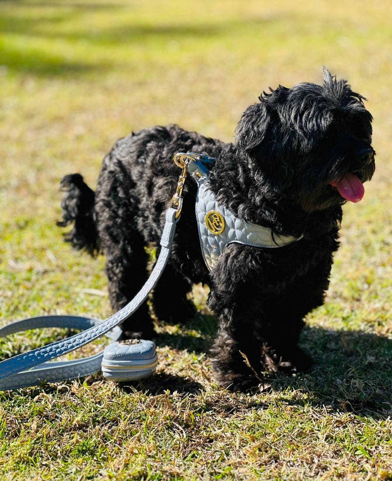 The Novalie Mist - Step in Dog Harness is