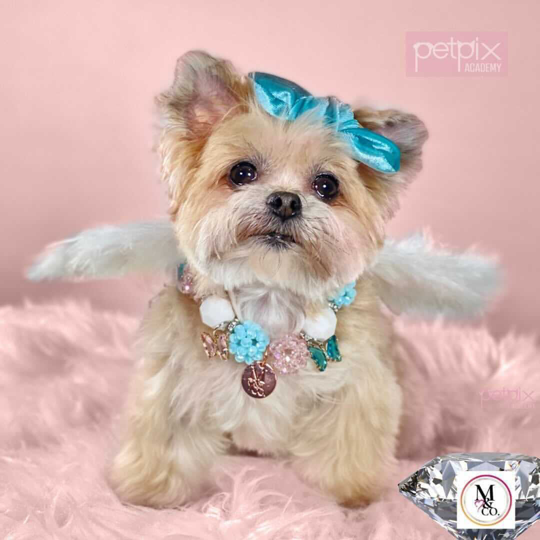 Necklace: Kotton Kandy