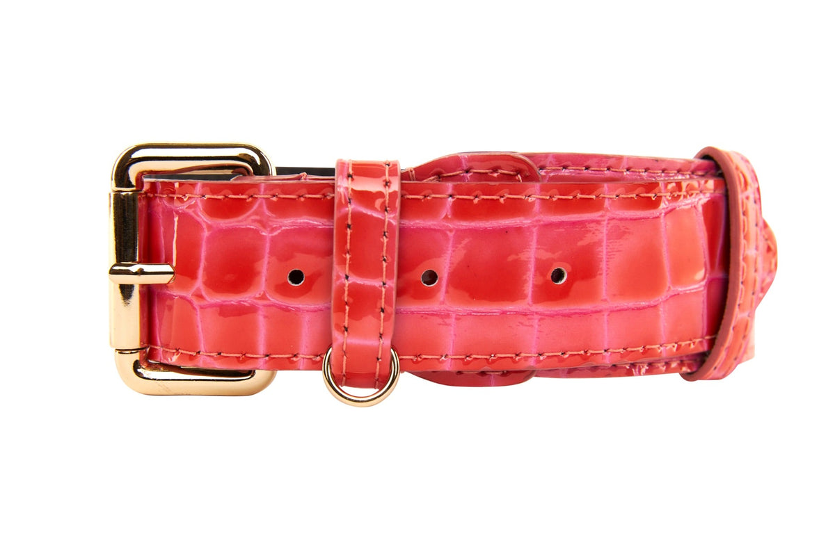 Allysa Payne Orange & Pink Patent Leather Classic Dog Collar