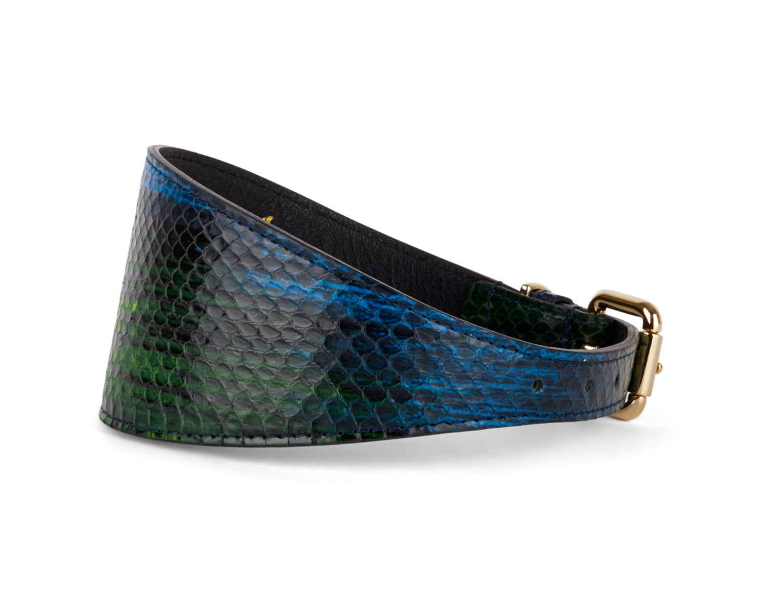 Allysa Payne Blue, Green, Black, Yellow Snake 3-Inch Wide Style Dog Collar