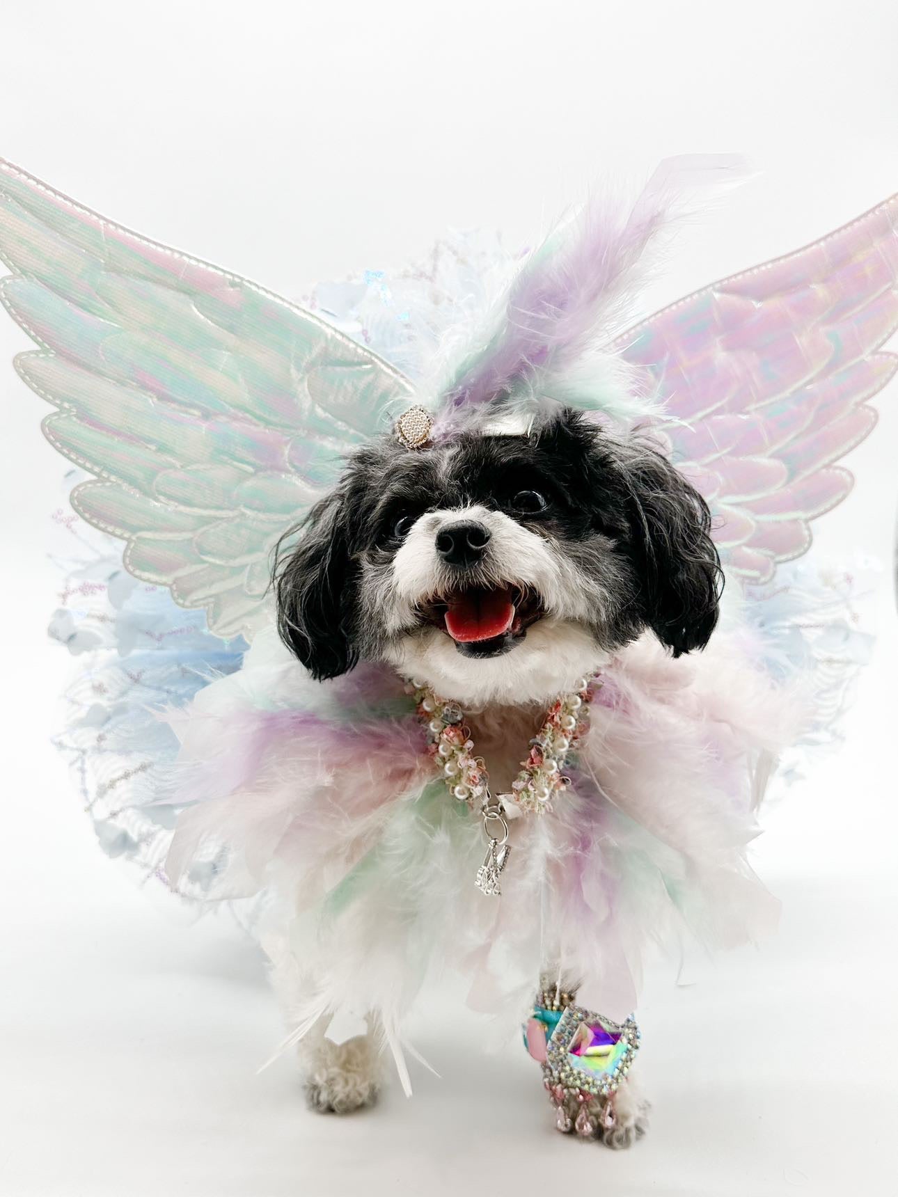 Spring Haute: Fairies Feathery Collar