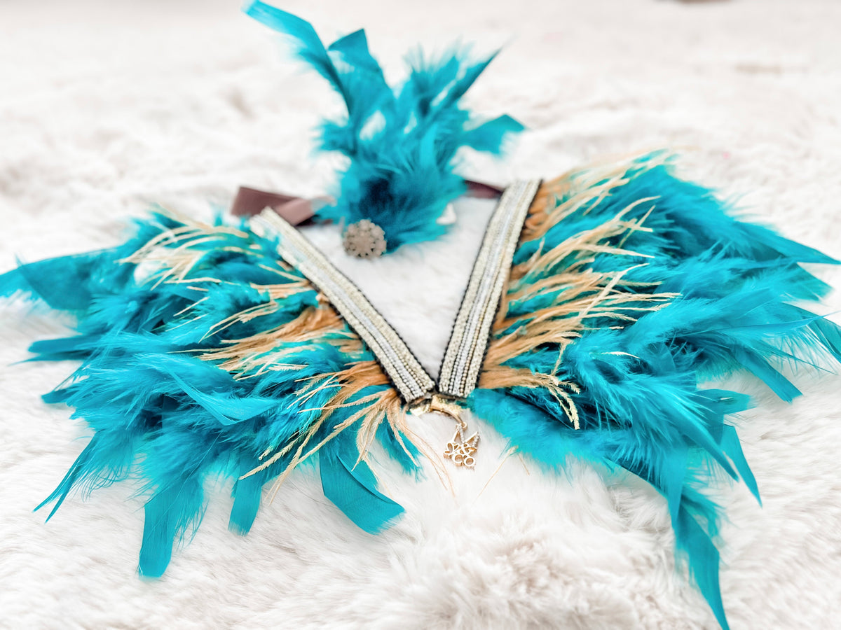 Haute: Paradise
