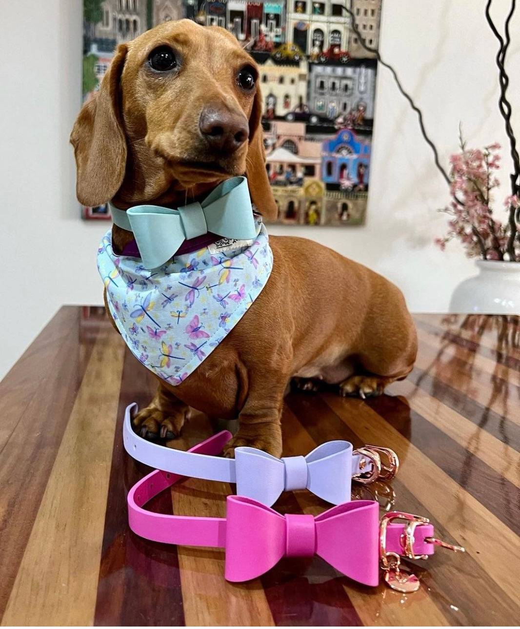 Leather Bow Collar (only) - Aquamarine