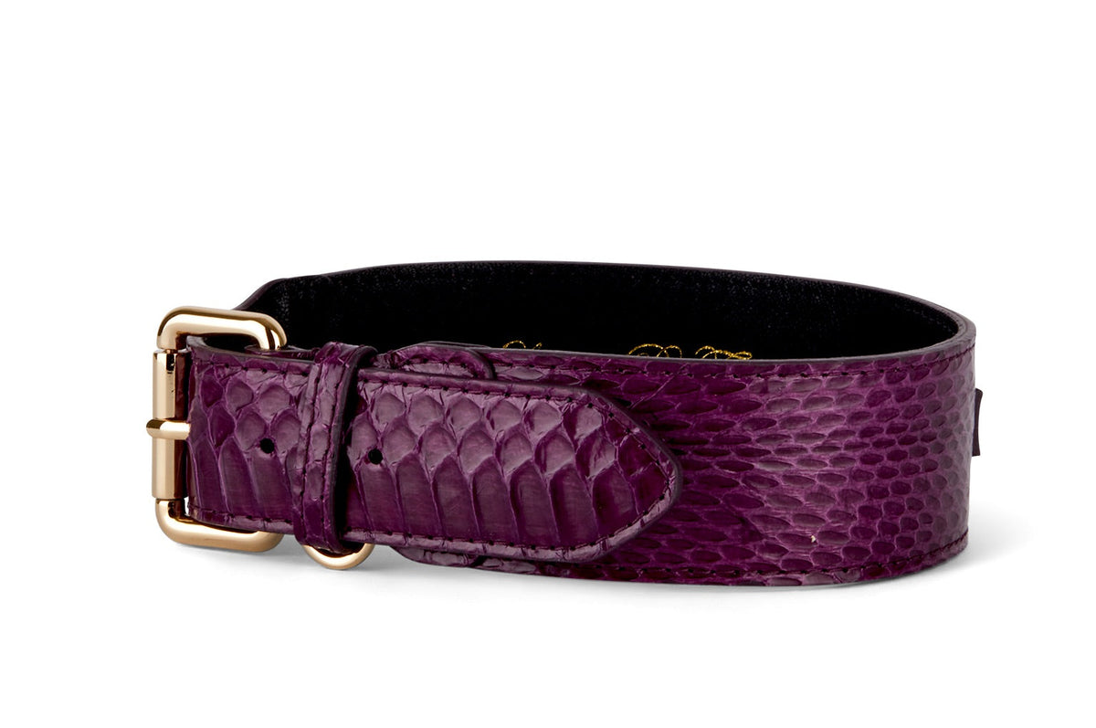 Allysa Payne Eggplant Purple Snake Classic Dog Collar