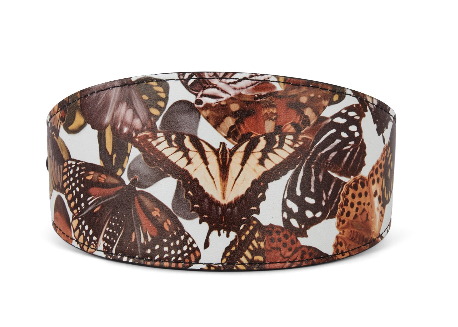 Allysa Payne Butterfly Print Italian Leather 3-Inch Wide Style Dog Collar