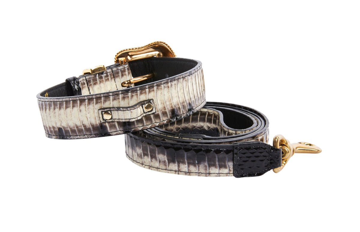 Allysa Payne Off White/Black Snake With Gold Swarovski Crystal Hardware Dog Collar & Leash Set