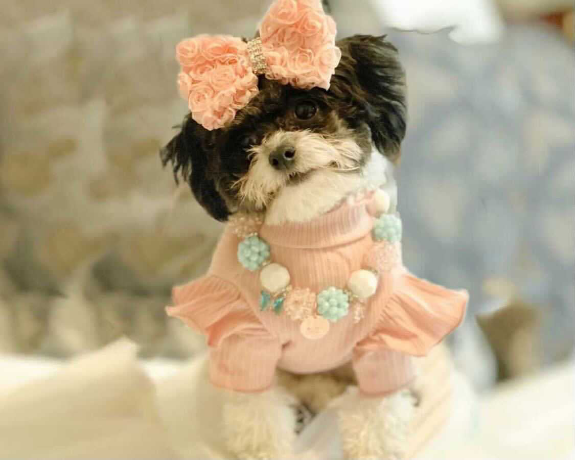 Necklace: Kotton Kandy