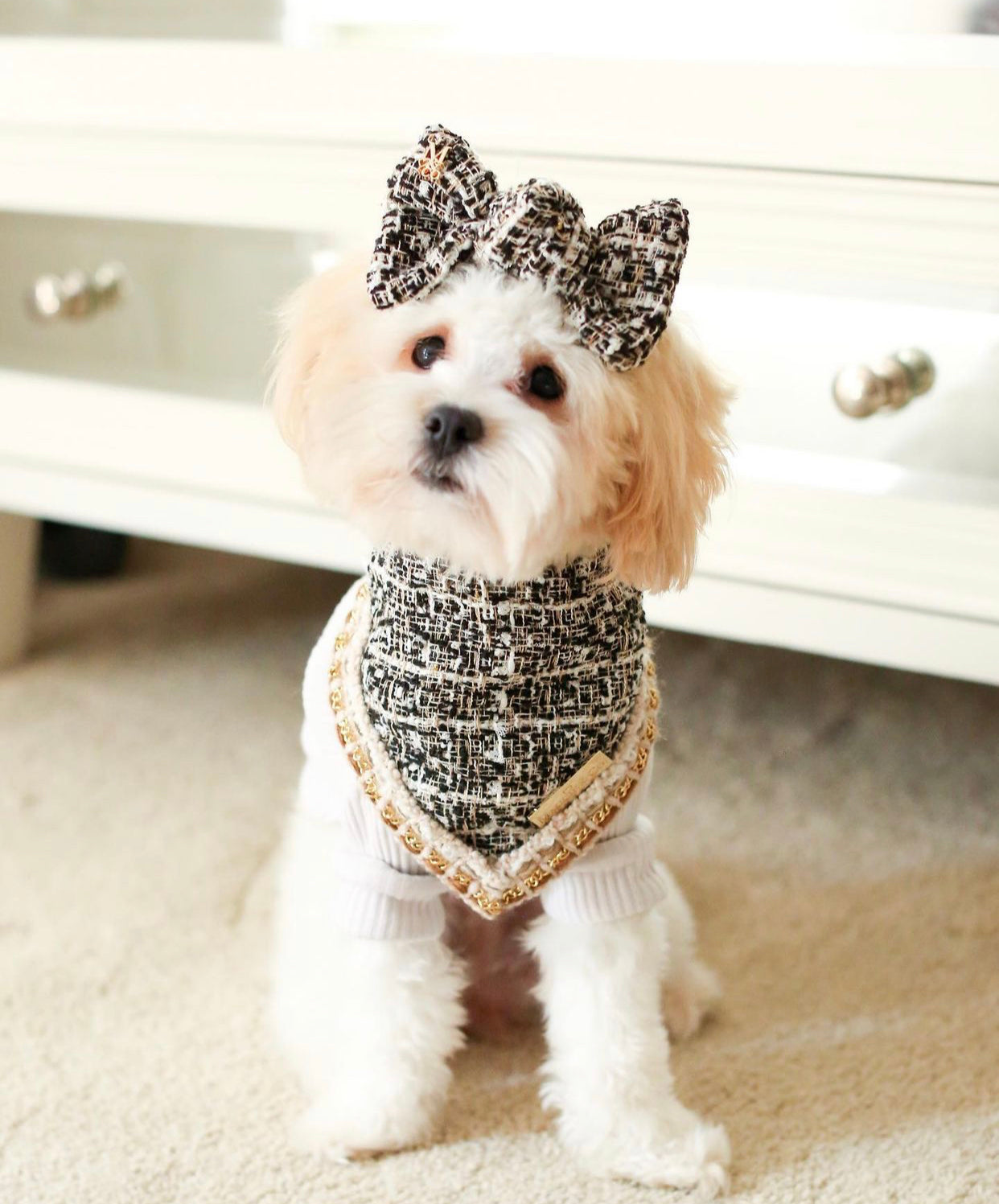 Vogue: The Loulou