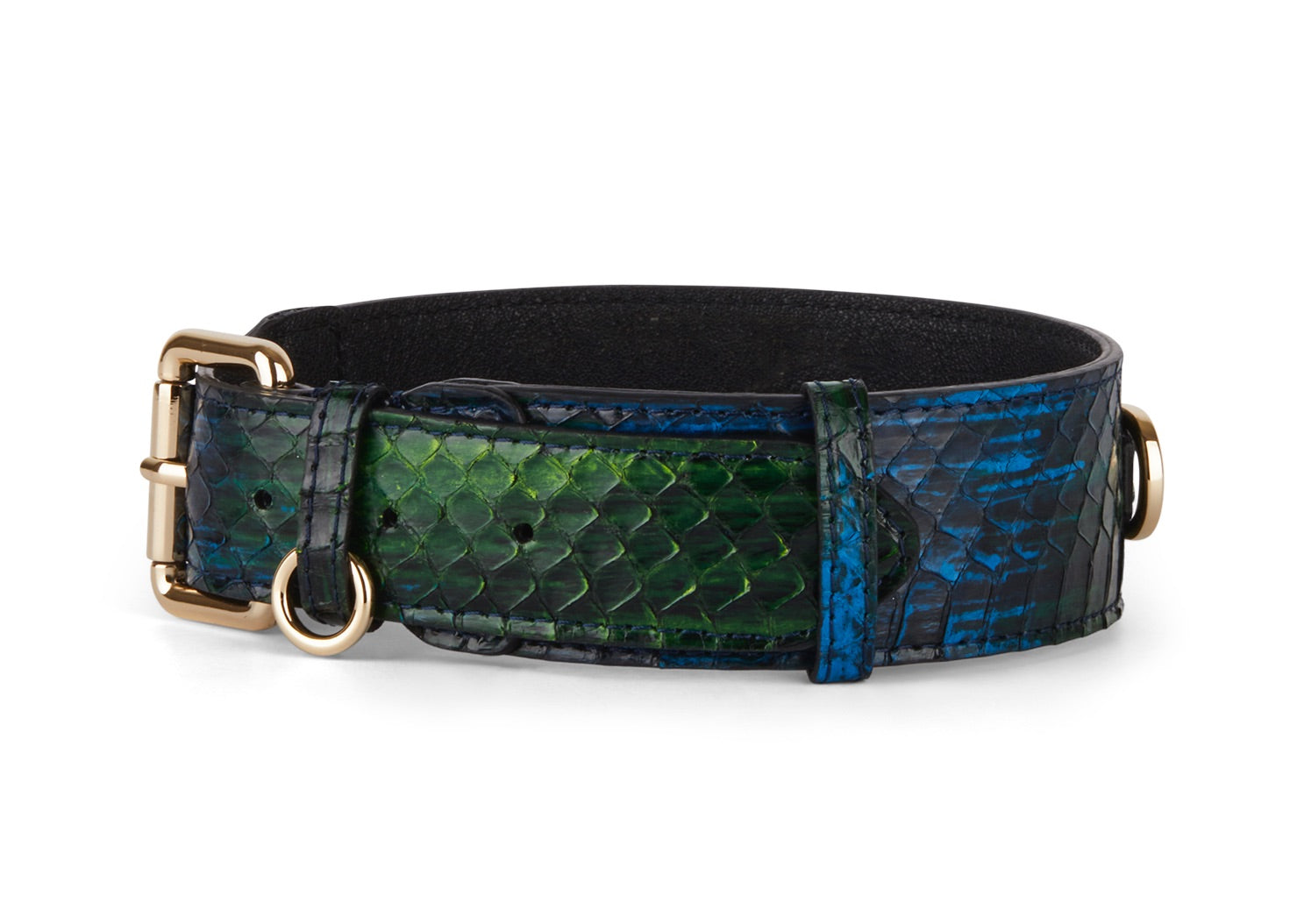 Allysa Payne Blue, Green, Black, Yellow Snake Classic Dog Collar