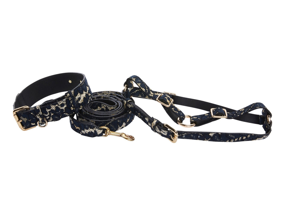 Allysa Payne Dark Navy Lace On Gold Italian Leather Classic Dog Collar, Leash & Harness Set