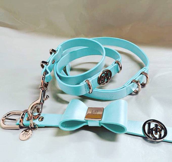 Leather Dog Lead (only) - Aquamarine