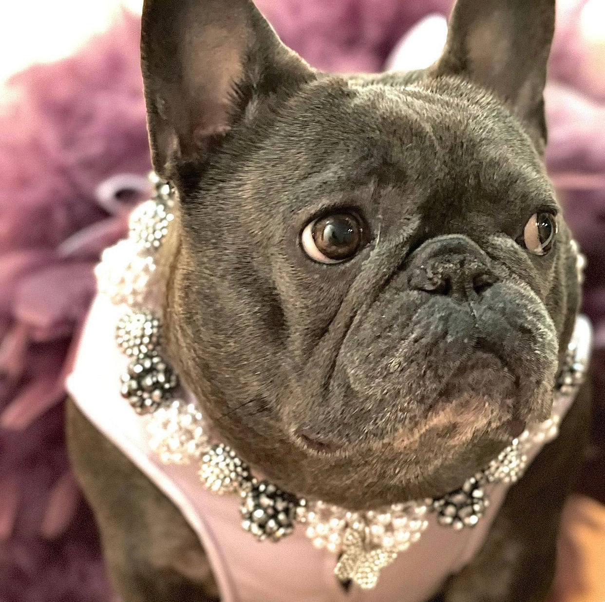 Necklace: The IZZY