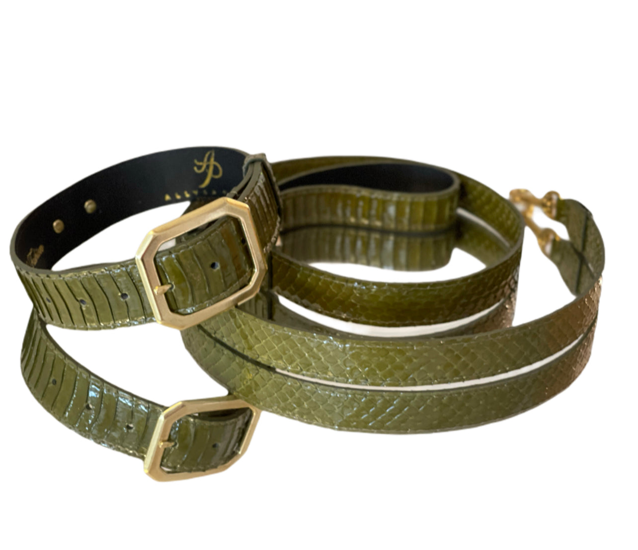 Allysa Payne Luxury Pet Fashion Olive Snakeskin Dog Collar & Leash Set
