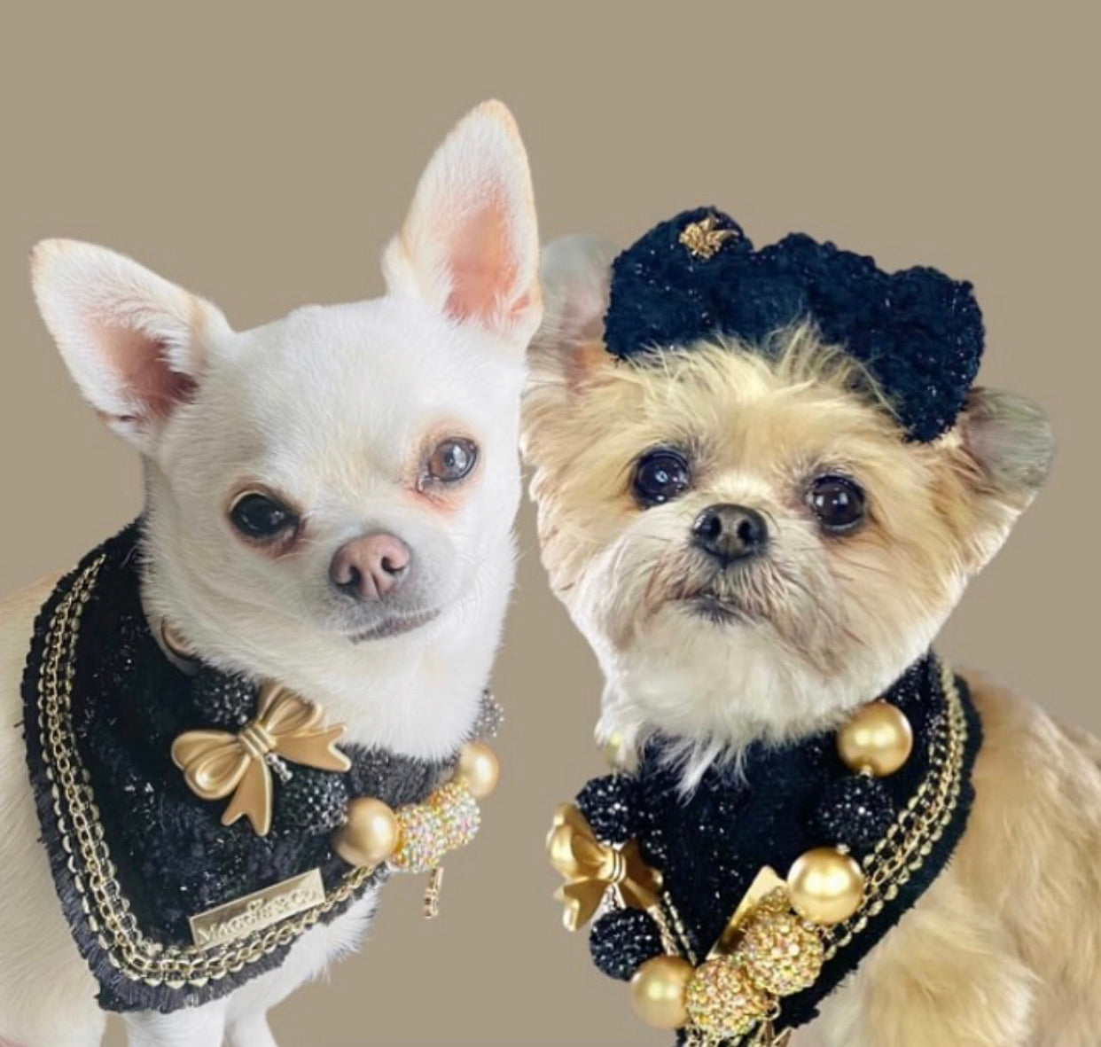 Coco Runway: Dur Cuire Bandana