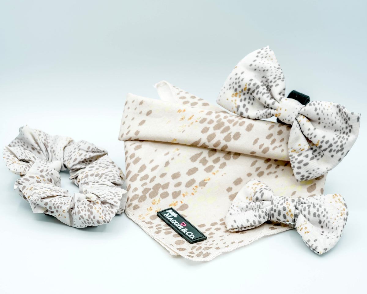 Bandana Set: Pawfect Beauty