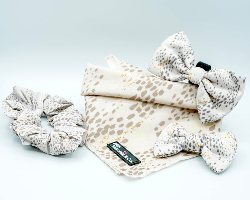 Bandana Set: Pawfect Beauty