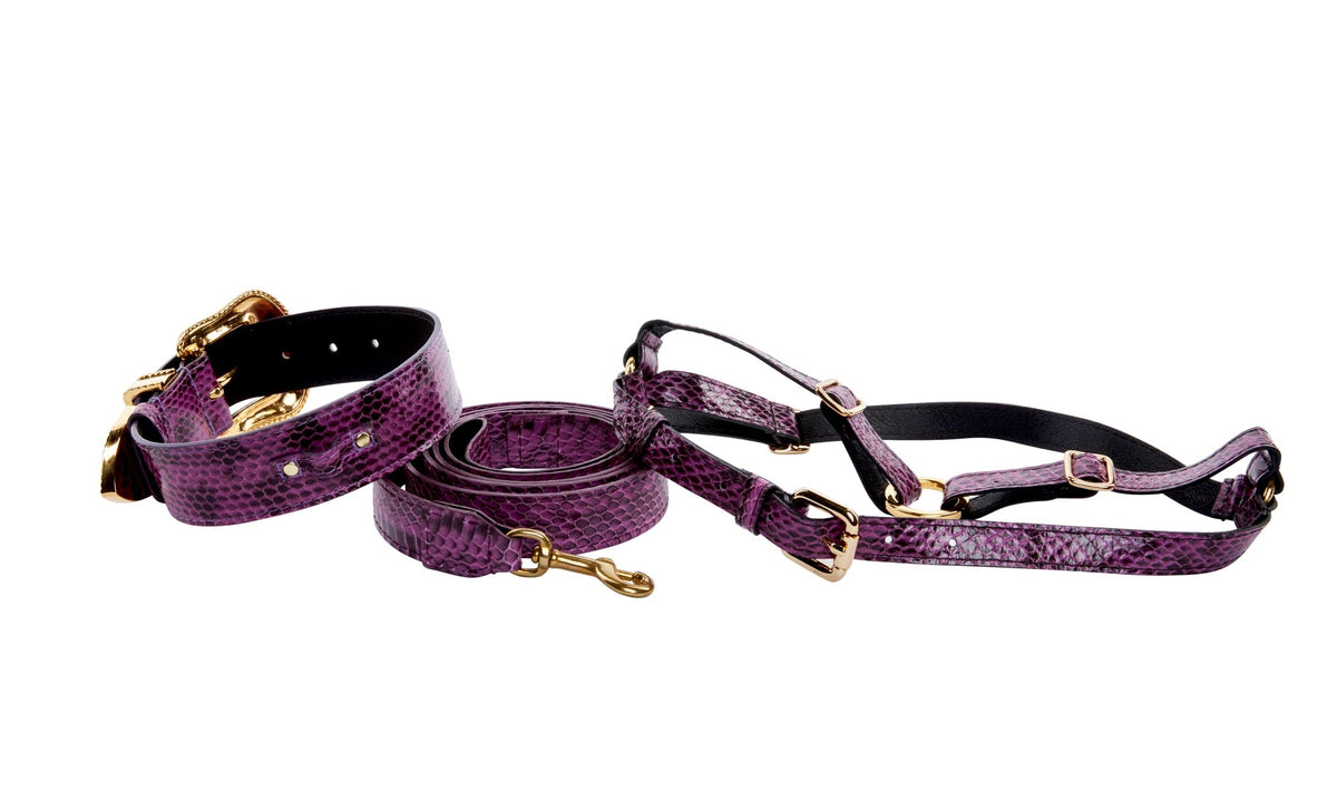 Allysa Payne Luxury Pet Fashion Purple & Black Viper Snake Dog Collar With Swarovski Crystal Hardware