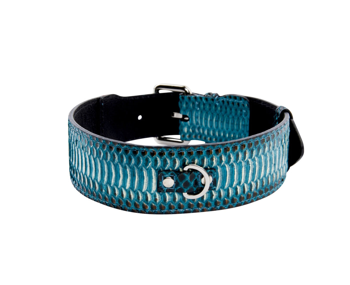 Allysa Payne Turquoise, Black Snake Classic Dog Collar With Silver & Gold Classic Hardware Set Of 2