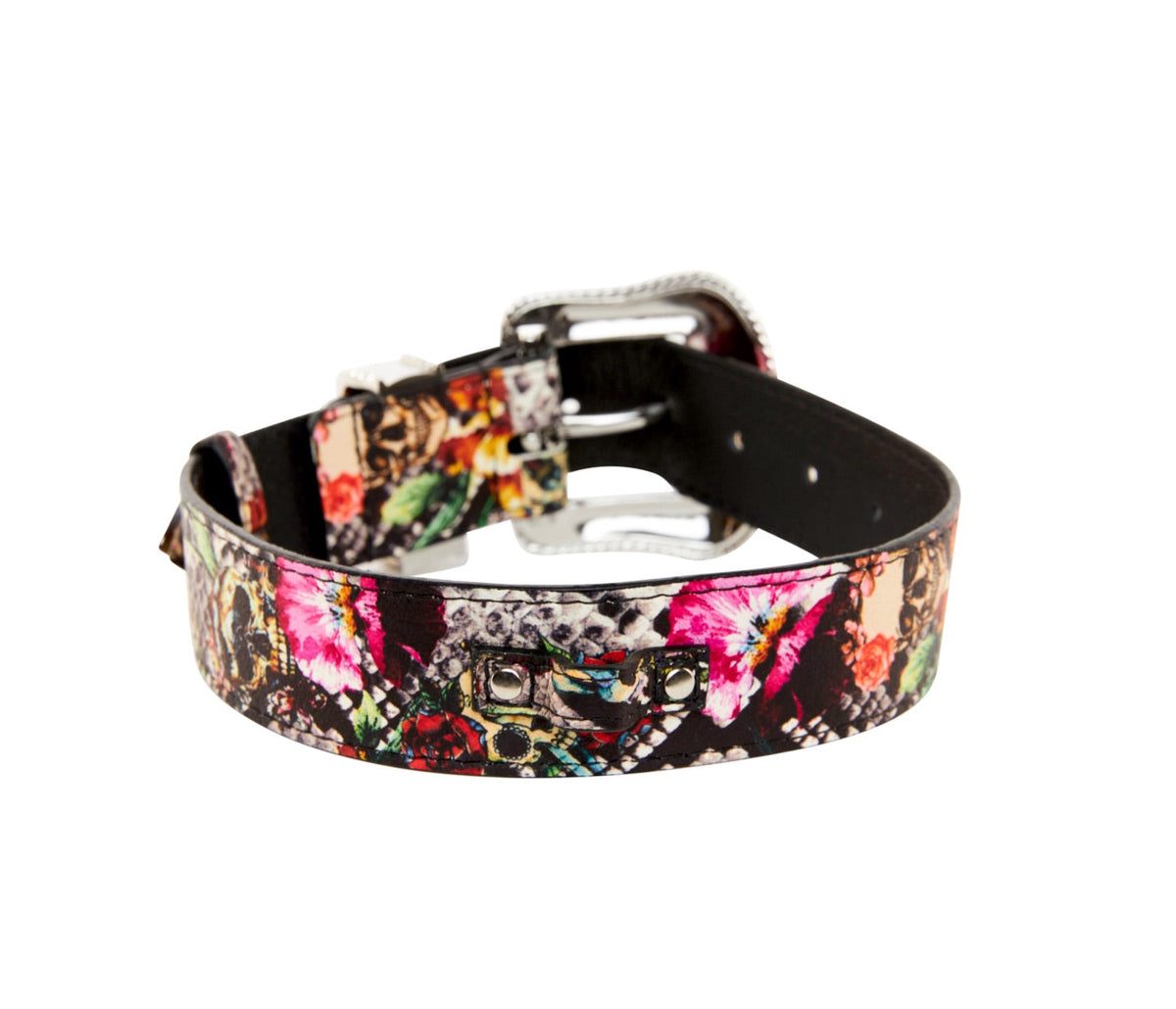 Allysa Payne Floral, Scull, Snake Print Italian Leather Dog Collar With Swarovski Crystal Hardware