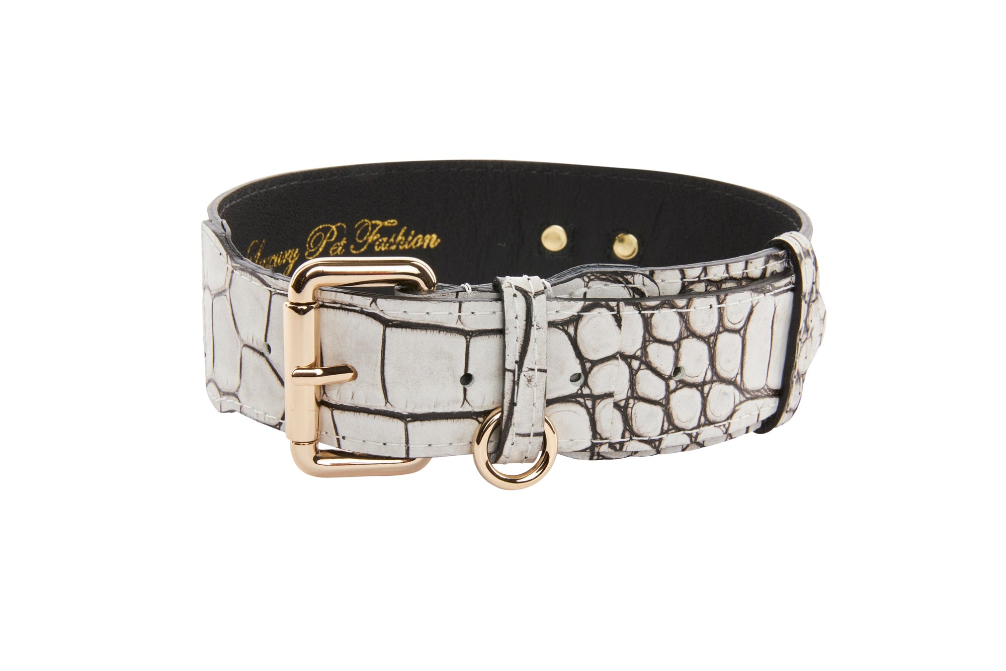Allysa Payne Dark Brown/Off White Embossed Croc Italian Leather Classic Dog Collar With Gold Classic Hardware