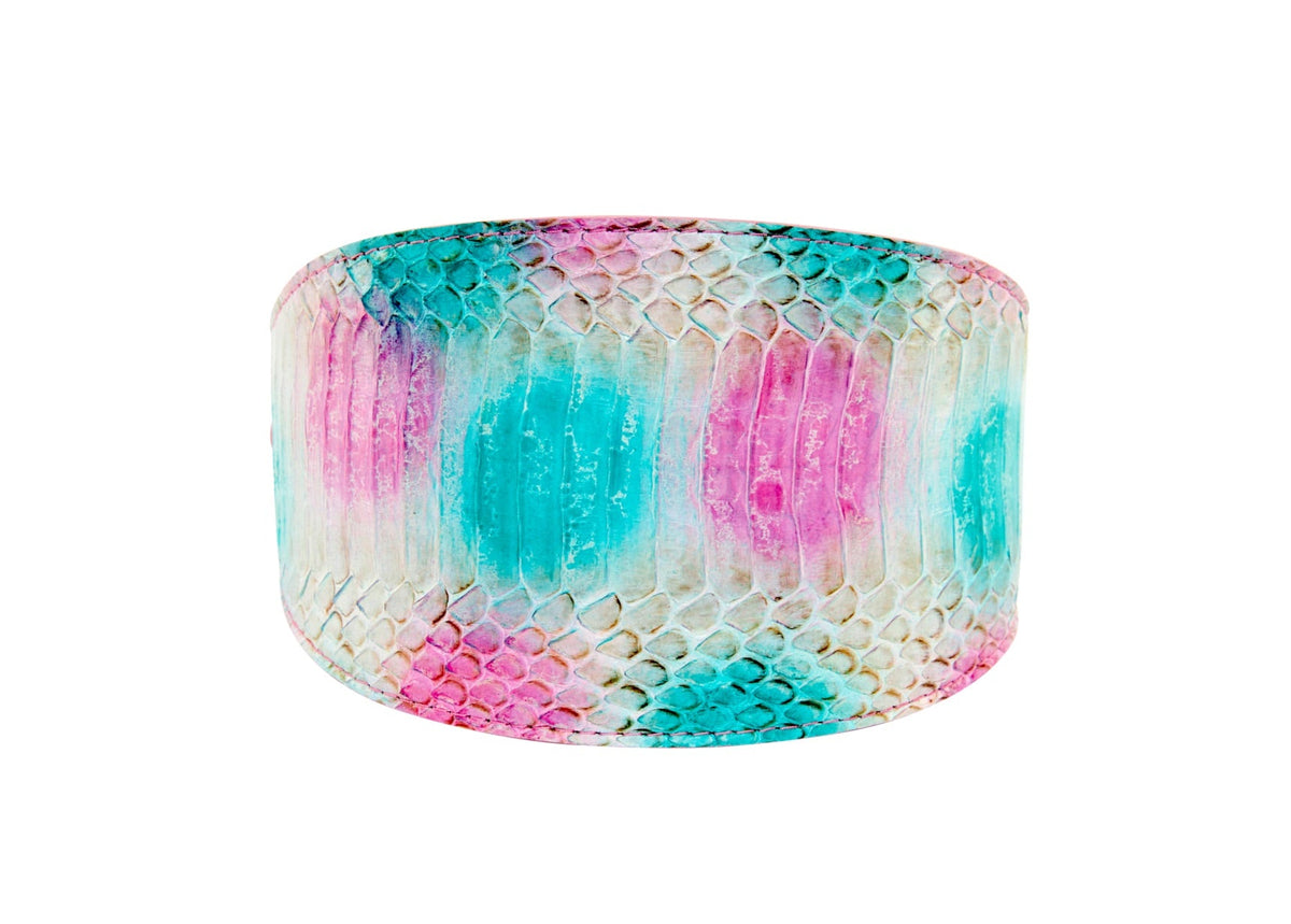 Allysa Payne Turquoise, Fuchsia, Off White Snake 4-Inch Wide Dog Collar
