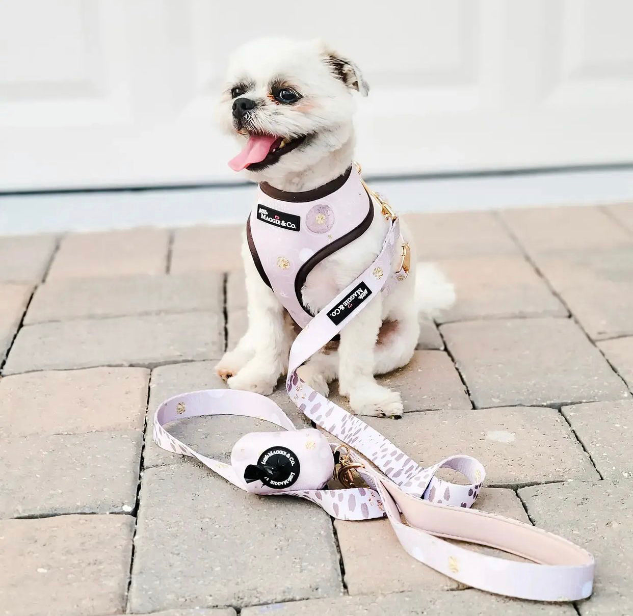 Essential Bundle: Cosmic