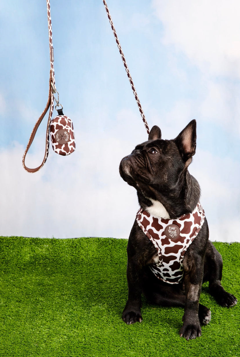 Black French Bulldog wearing a premium cow-print dog harness with matching leash and waste bag holder on green grass.