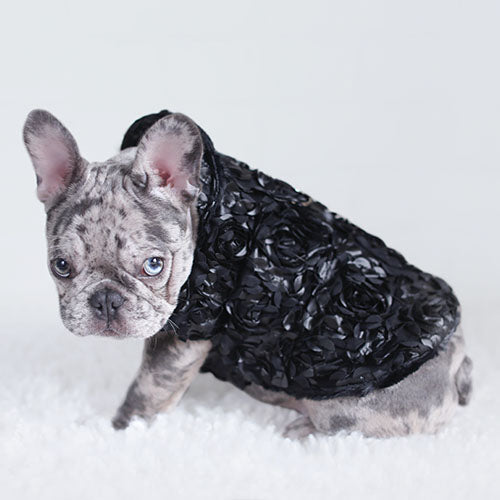 Hello Doggie Victorian Faux Fur Black Dog Coat