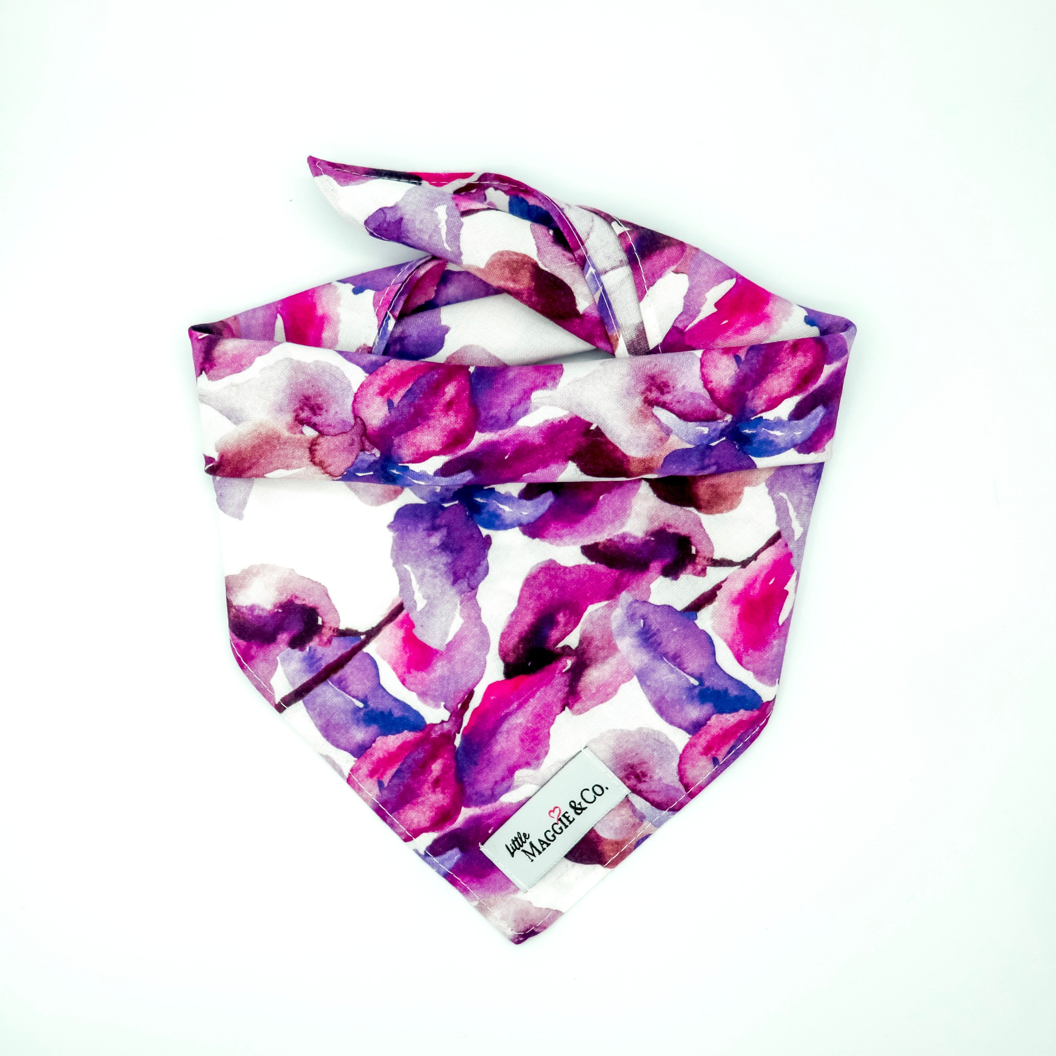 Classics: Fuchsia Blooms