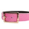 Luxury Pet Fashion Neon Pink Snake Collar With Our  Modern Gold Hardware