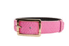 Luxury Pet Fashion Neon Pink Snake Collar With Our Modern Gold Hardware