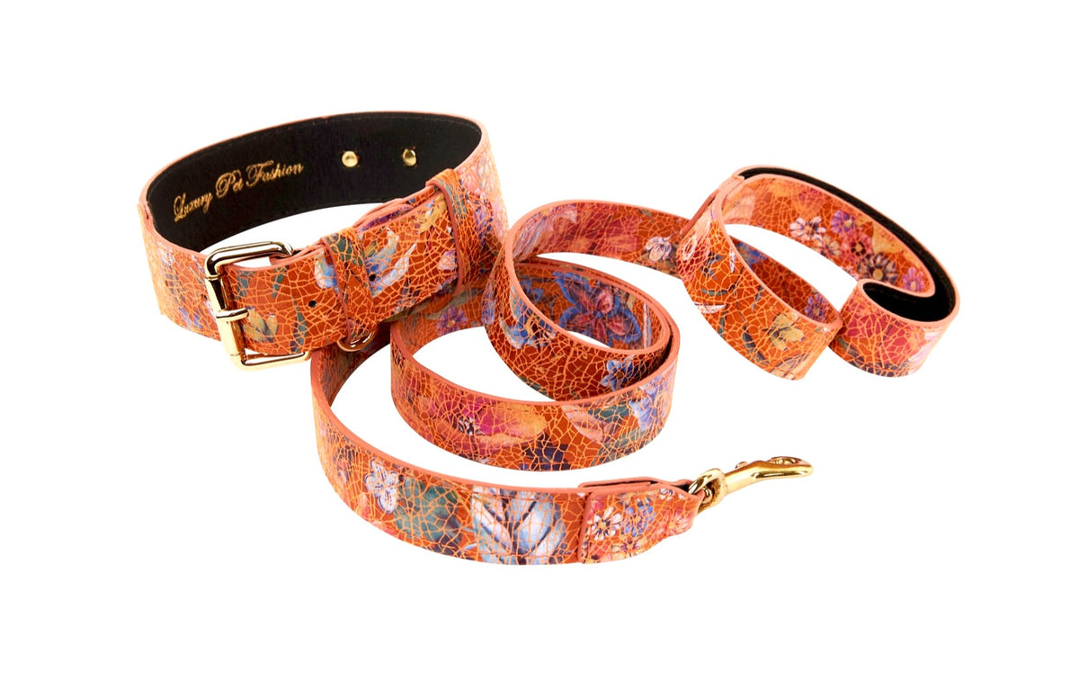 Allysa Payne Orange Floral Italian Leather Classic Dog Collar & Leash Set