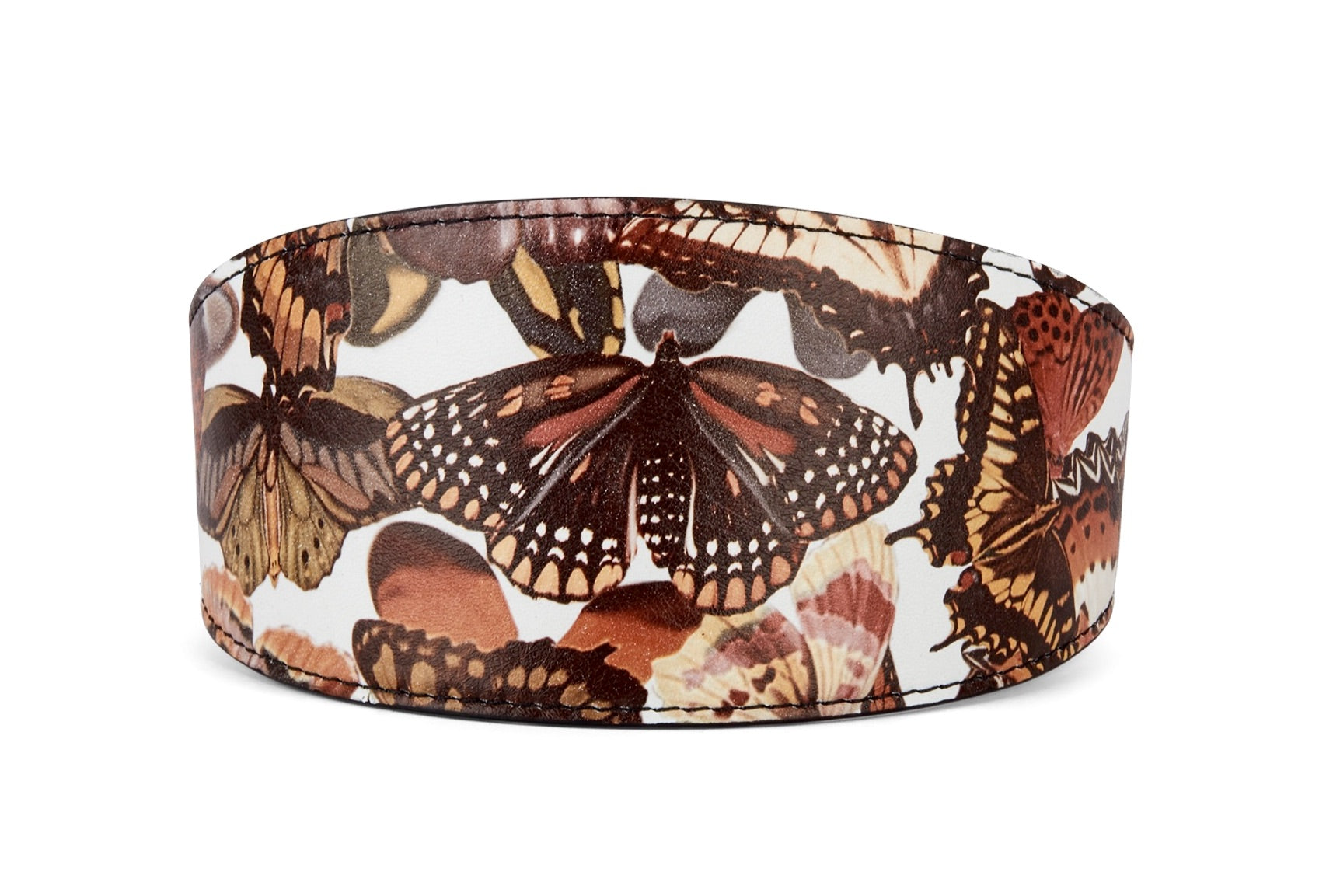 Allysa Payne Butterfly Print Italian Leather 3-Inch Wide Style Dog Collar